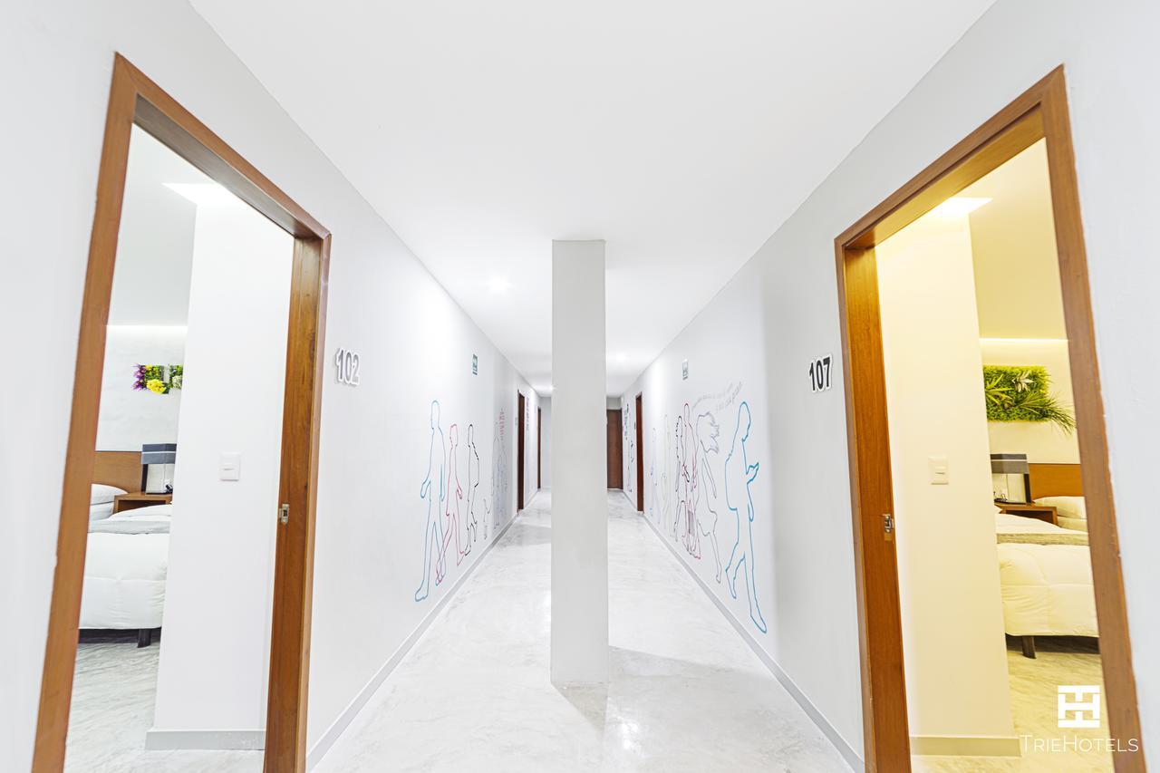Hotel Urban 101 Chetumal Dış mekan fotoğraf